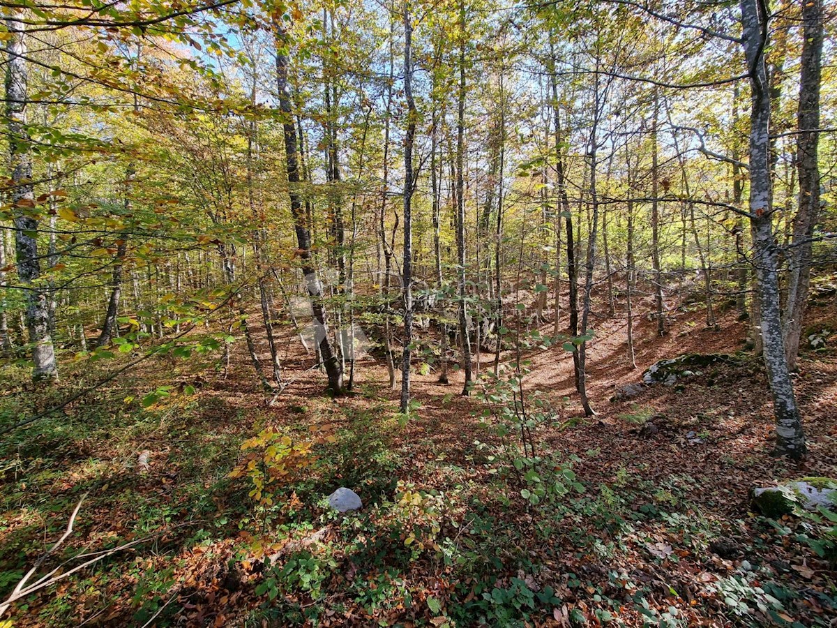 Parcela Na predaj - PRIMORSKO-GORANSKA  BROD MORAVICE 