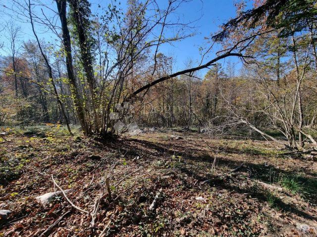 Parcela na predaj 32000 m² – Brod Moravice