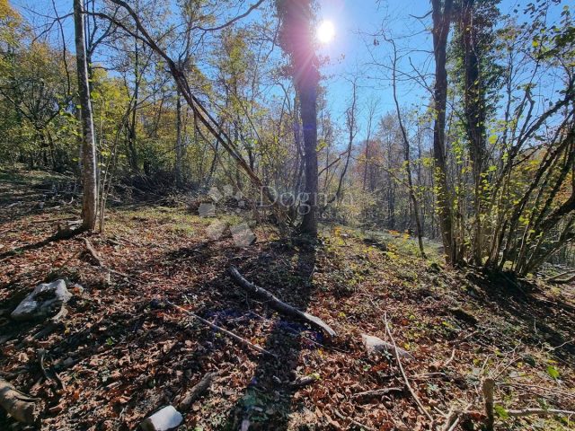Zemljište Na prodaju - Primorsko-goranska Brod Moravice - foto 3/3