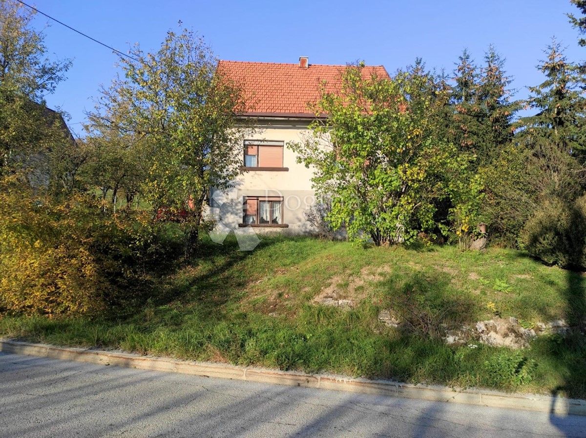 House For sale - PRIMORSKO-GORANSKA  RAVNA GORA 