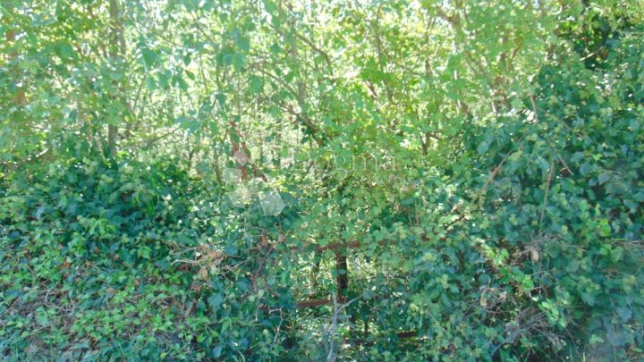 Terreno In vendita - Istarska Marčana - foto 3/4
