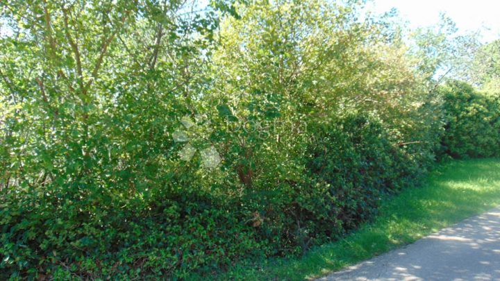 Land For sale - Istarska Marčana - foto 5/5