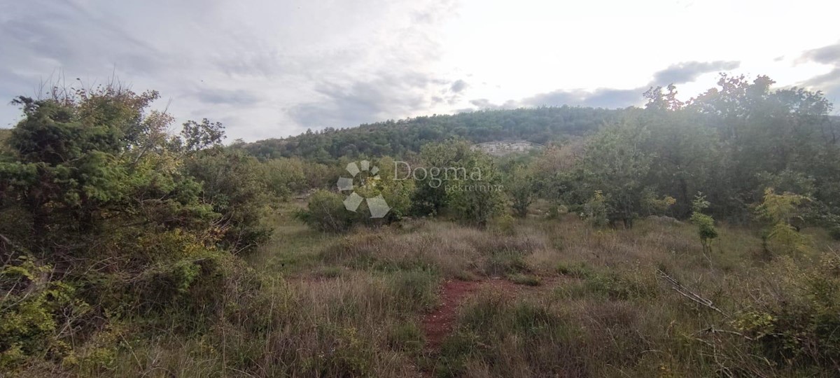 Land For sale - ZADARSKA  POSEDARJE 