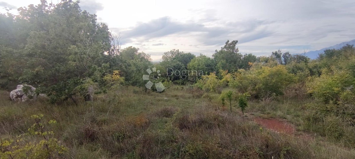 Land For sale - ZADARSKA  POSEDARJE 