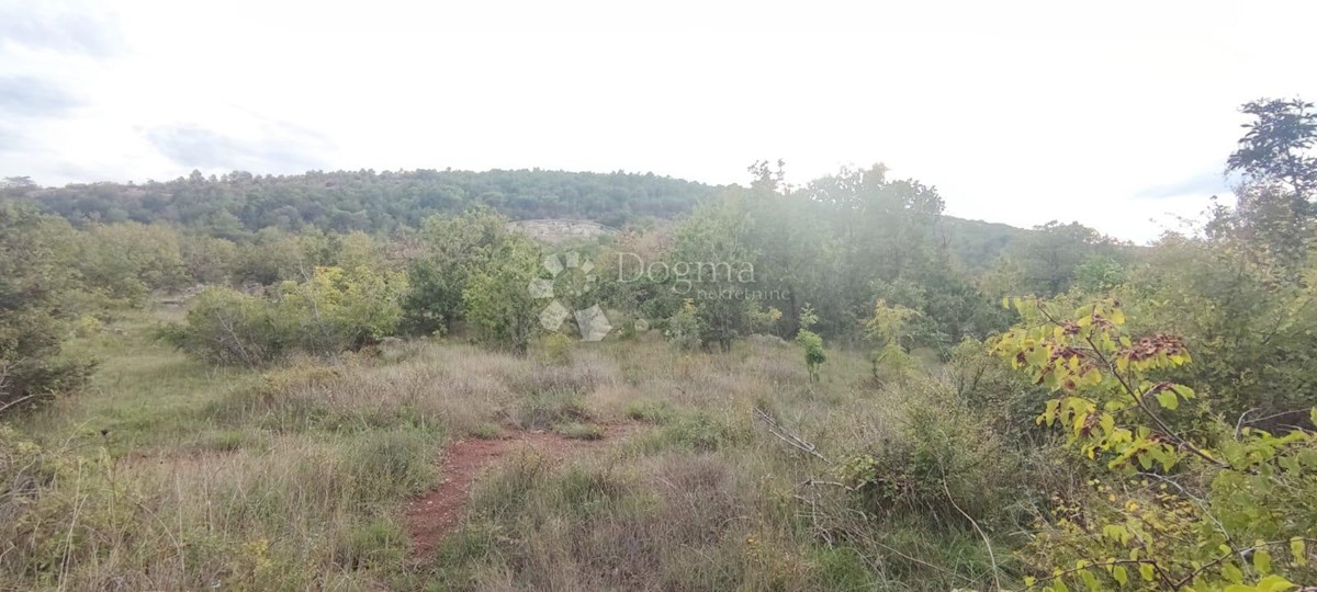 Land For sale - ZADARSKA  POSEDARJE 