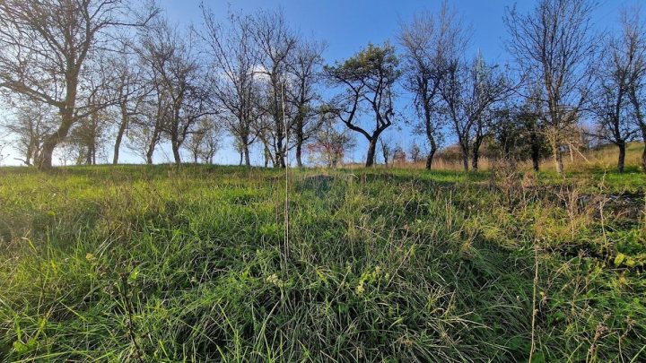 Parcela na predaj 4184 m² – Vrbovsko