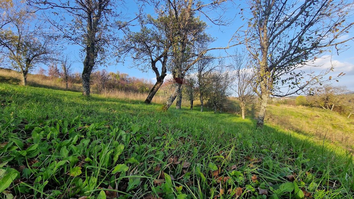 Pozemek Na prodej - PRIMORSKO-GORANSKA  VRBOVSKO 