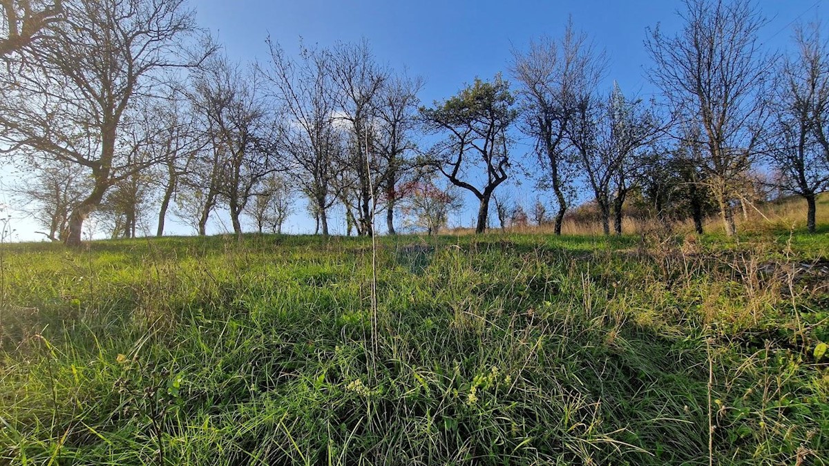 Pozemek Na prodej - PRIMORSKO-GORANSKA  VRBOVSKO 