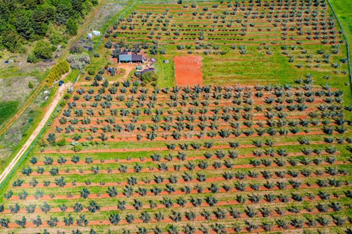 Działka na sprzedaż 14349 m² – Novigrad