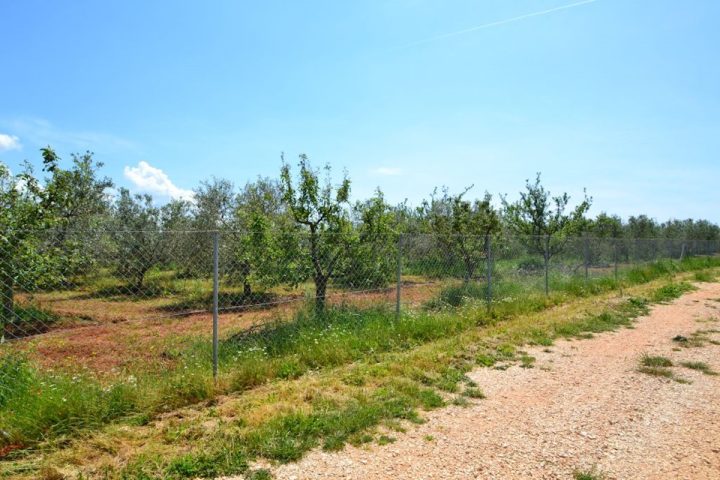 Grundstück Zu verkaufen - Istarska Novigrad - foto 2/6
