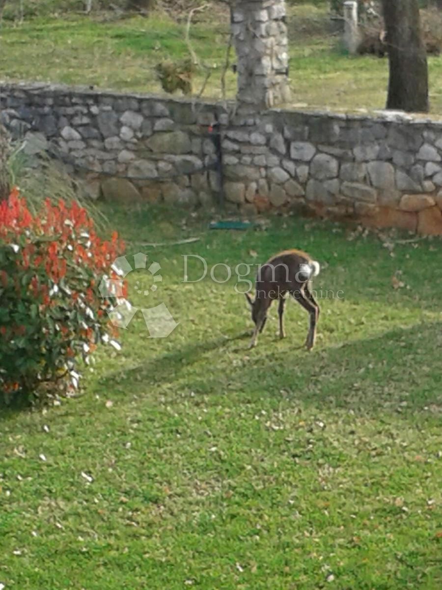 Poslovni prostor Na prodaju - ISTARSKA  NOVIGRAD 