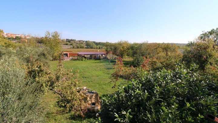 Haus Zu verkaufen - Istarska Brtonigla - foto 5/14