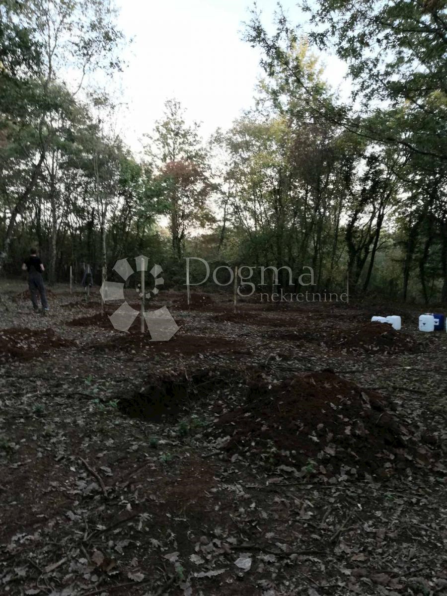 Pozemok Na predaj - ISTARSKA  SVETVINČENAT 