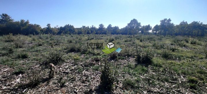 Terrain à vendre 22821 m² – Bale