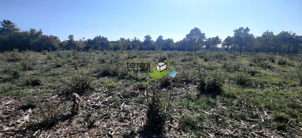 Terreno In vendita