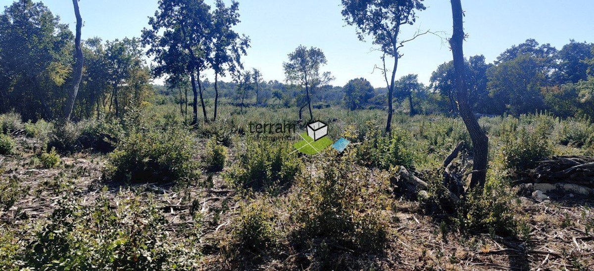 Terreno In vendita - ISTARSKA  BALE 
