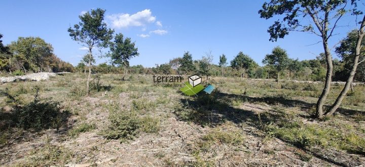 Zemljište na prodaju 12400 m² – Bale