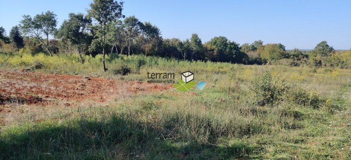 Terrain à vendre 9865 m² – Bale