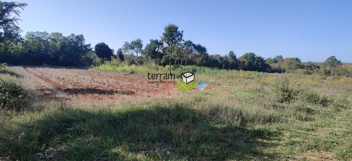 Terreno In vendita - ISTARSKA  BALE 