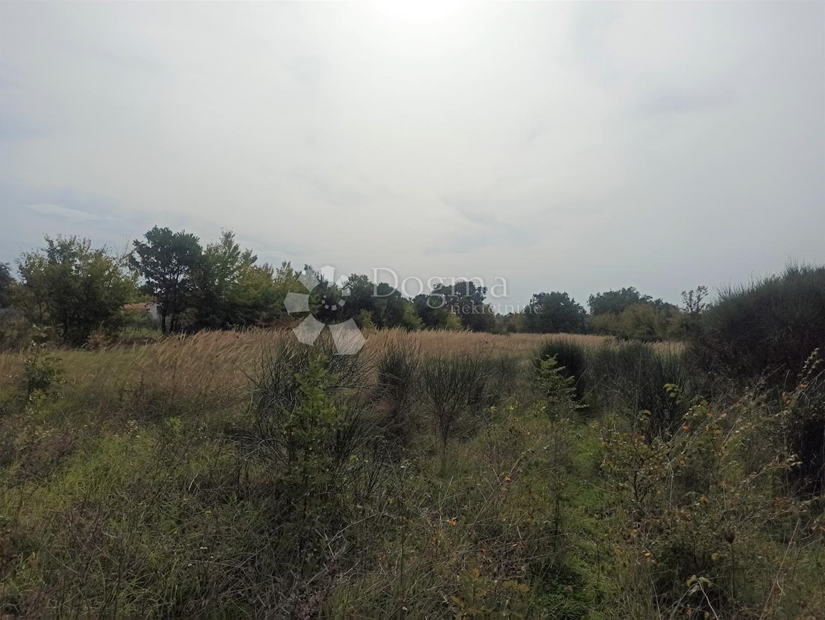 Terreno In vendita - ISTARSKA  LIŽNJAN 