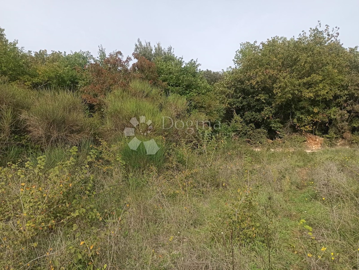 Terreno In vendita - ISTARSKA  LIŽNJAN 