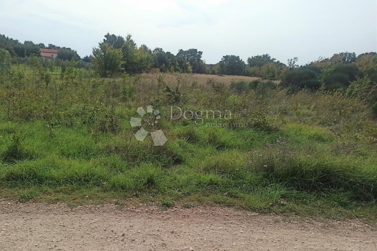 Terreno In vendita - ISTARSKA  LIŽNJAN 