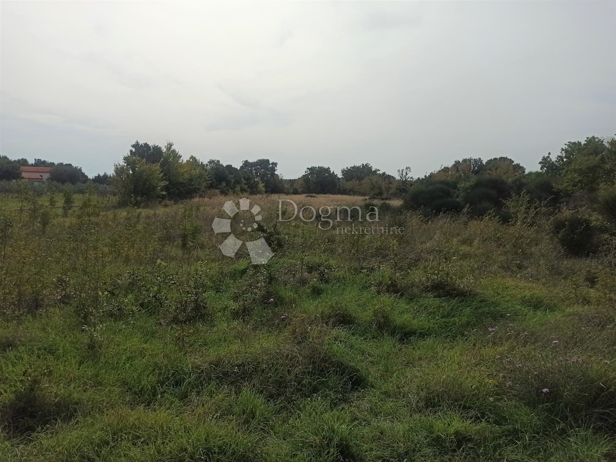 Parcela Naprodaj - ISTARSKA  Ližnjan