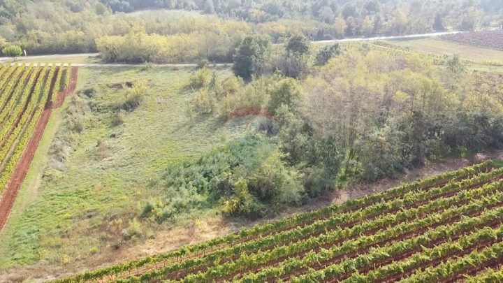 Land for sale 8200 m² – Vižinada