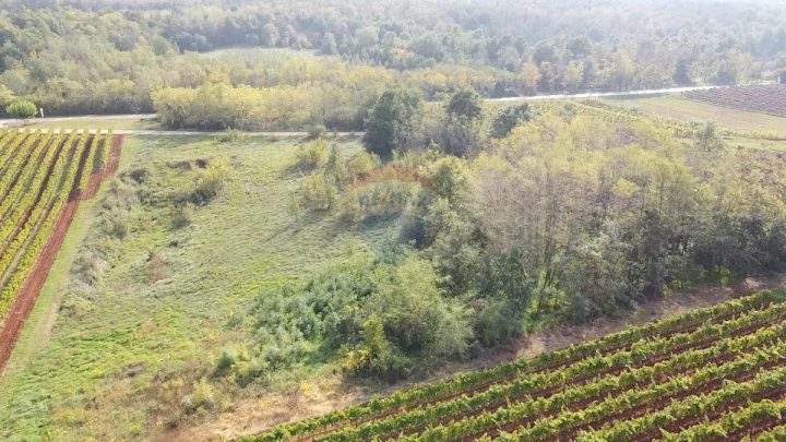 Parcela Naprodaj - Istarska Vižinada - foto 4/4
