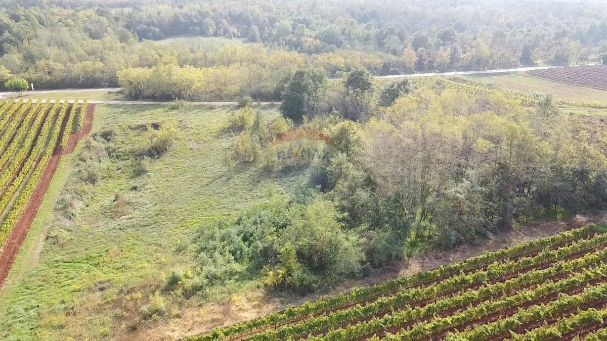 Parcela Naprodaj - ISTARSKA  Vižinada