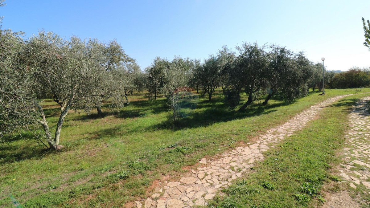 Land For sale BRTONIGLA