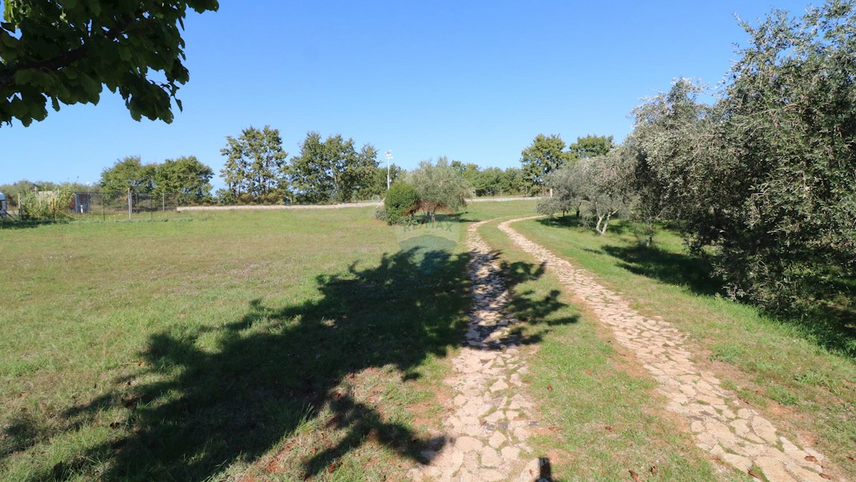 Land For sale - ISTARSKA  BRTONIGLA 