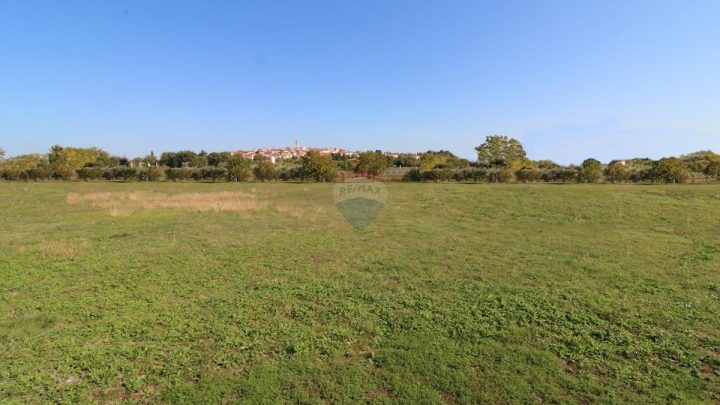 Parcela na predaj 10285 m² – Brtonigla