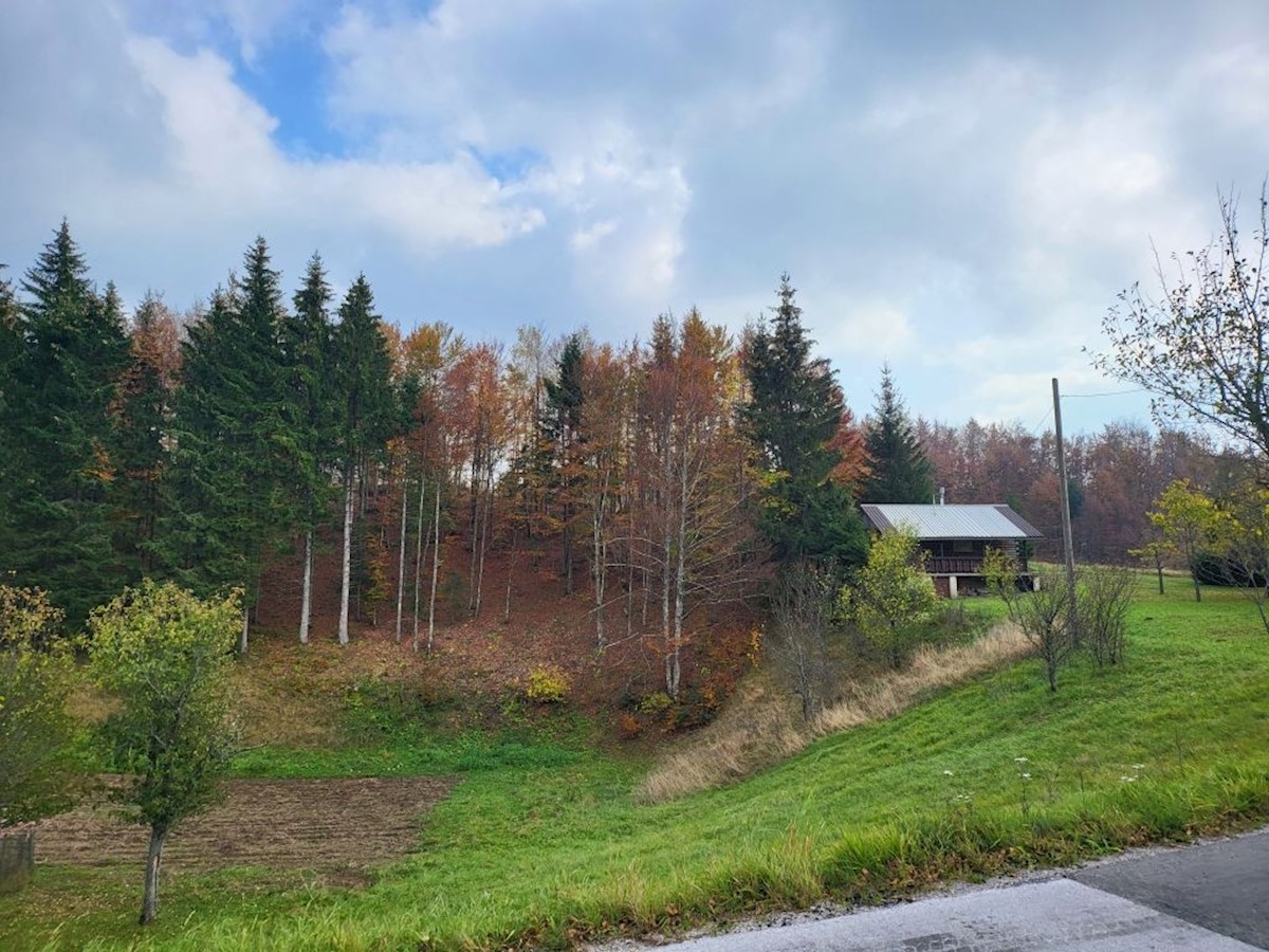 Działka Na sprzedaż - Primorsko-goranska Ravna Gora - foto 1/1
