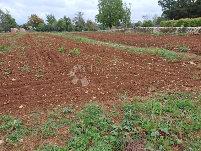 Terreno In vendita - Istarska Sveti Petar U šumi - foto 2/5