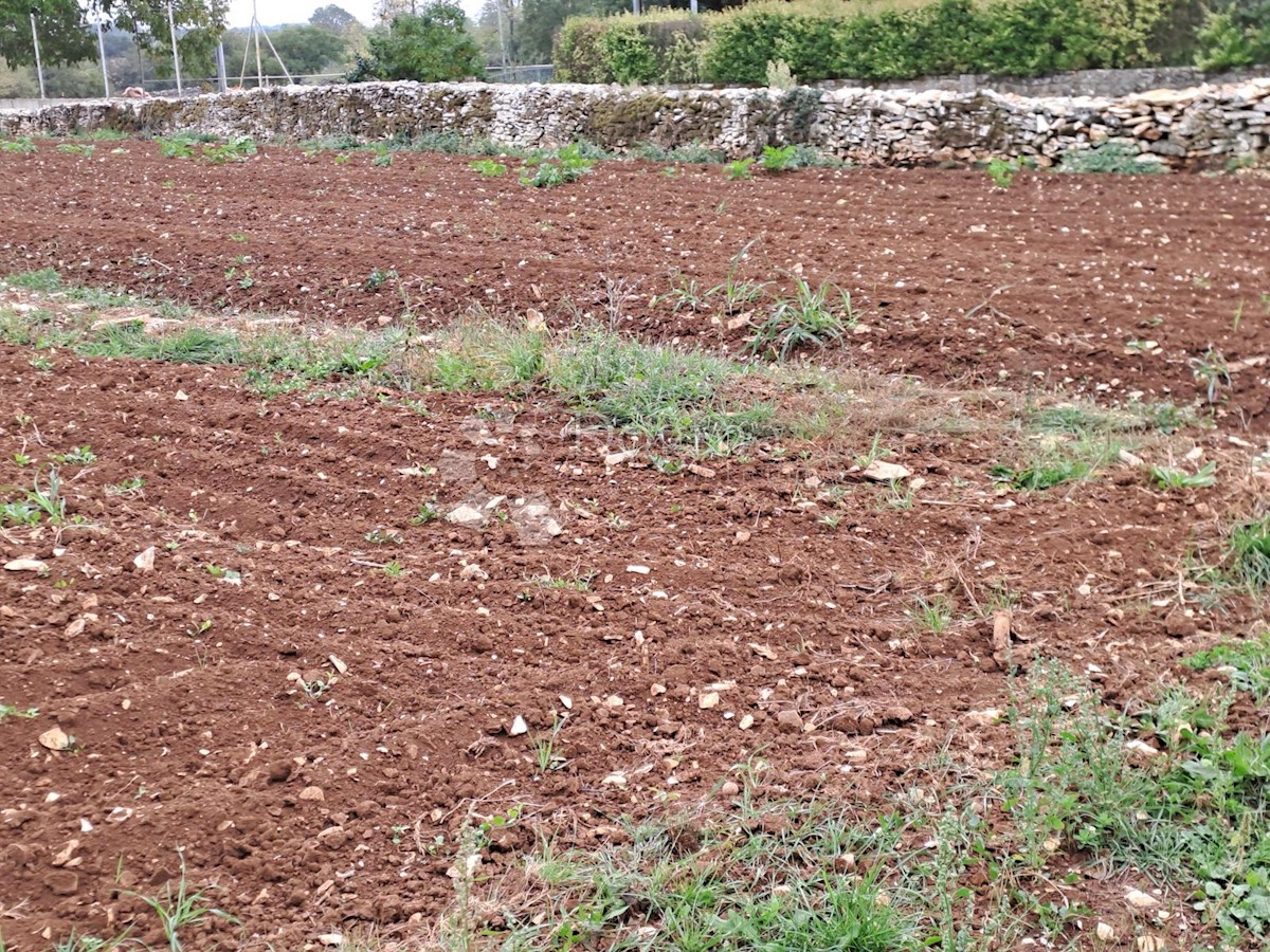 Zemljište Na prodaju - ISTARSKA  SVETI PETAR U ŠUMI 