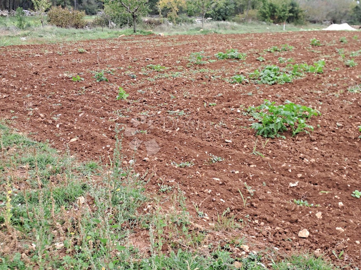 Zemljište Na prodaju - ISTARSKA  SVETI PETAR U ŠUMI 