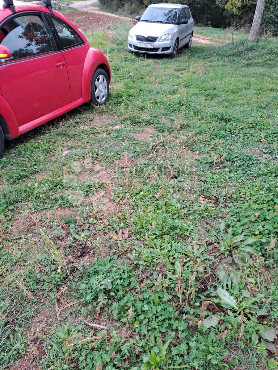Parcela Naprodaj - ISTARSKA  SVETI PETAR U ŠUMI