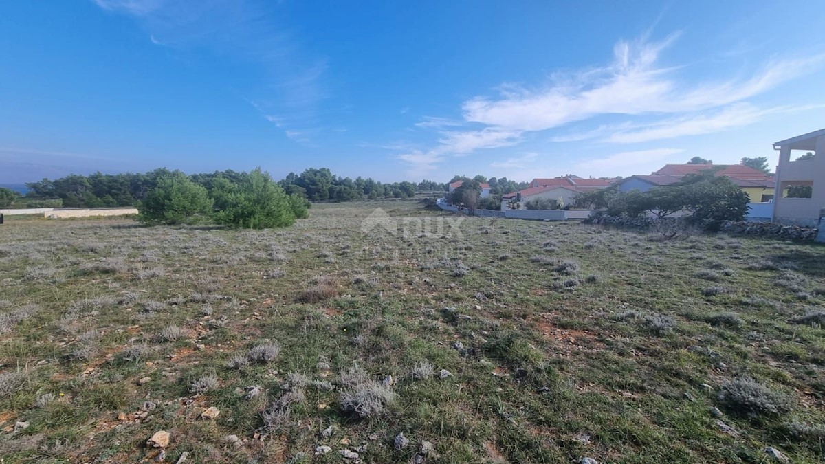 Land For sale - ZADARSKA  VIR 