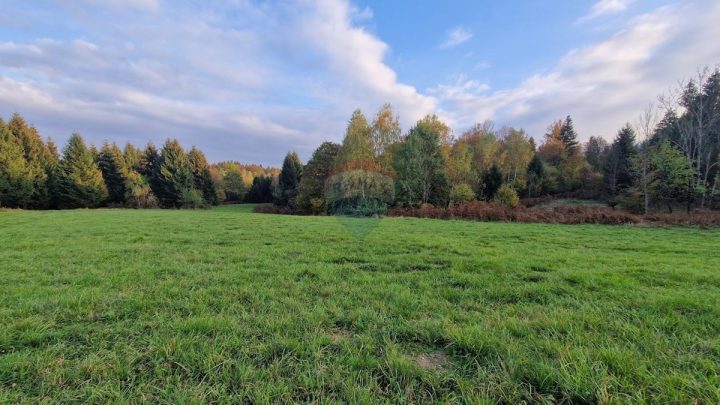 Parcela na predaj 5222 m² – Gomirje
