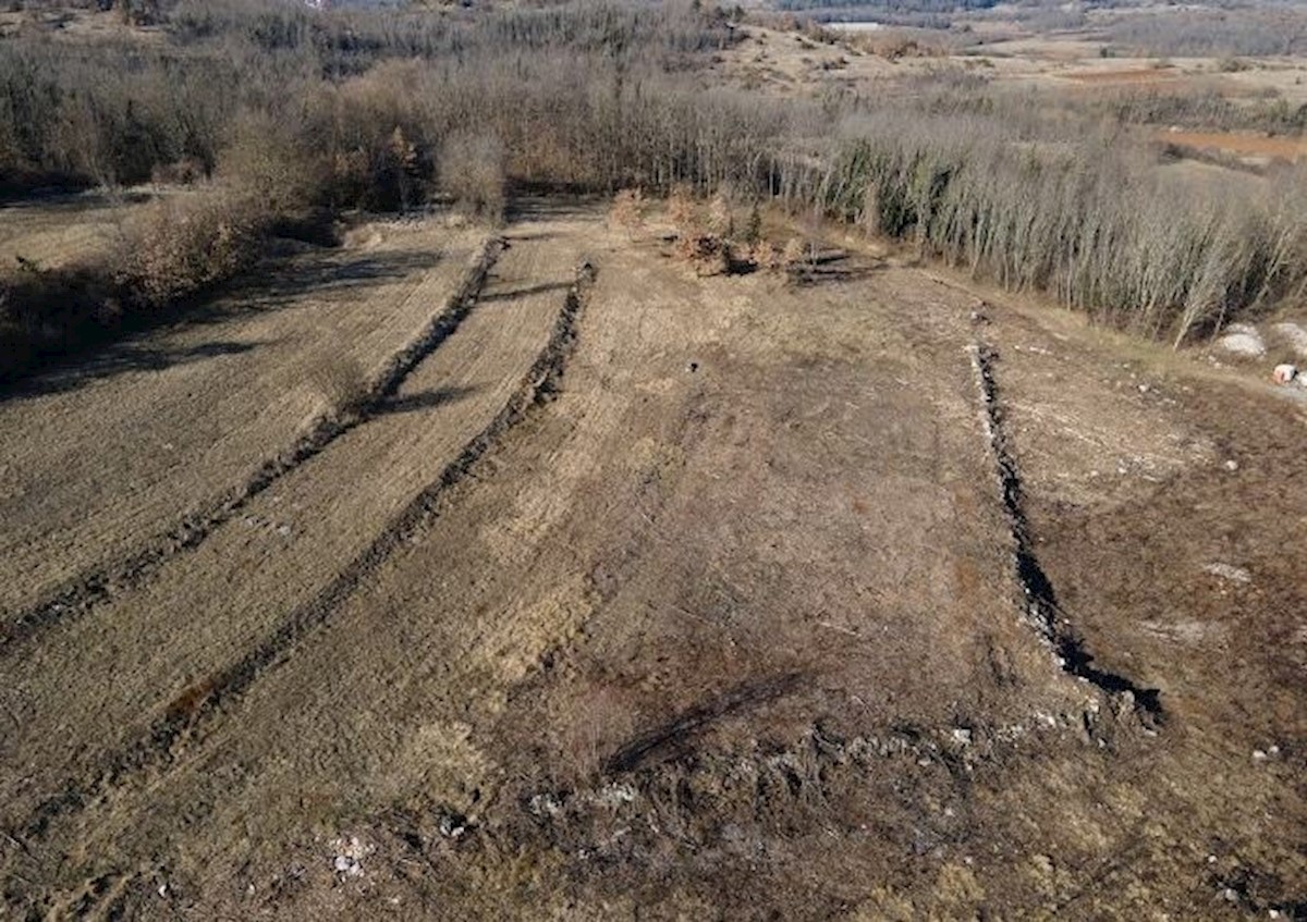 Terreno In vendita - ISTARSKA  PAZIN 