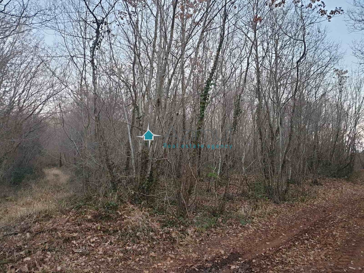 Land For sale BARBARIGA