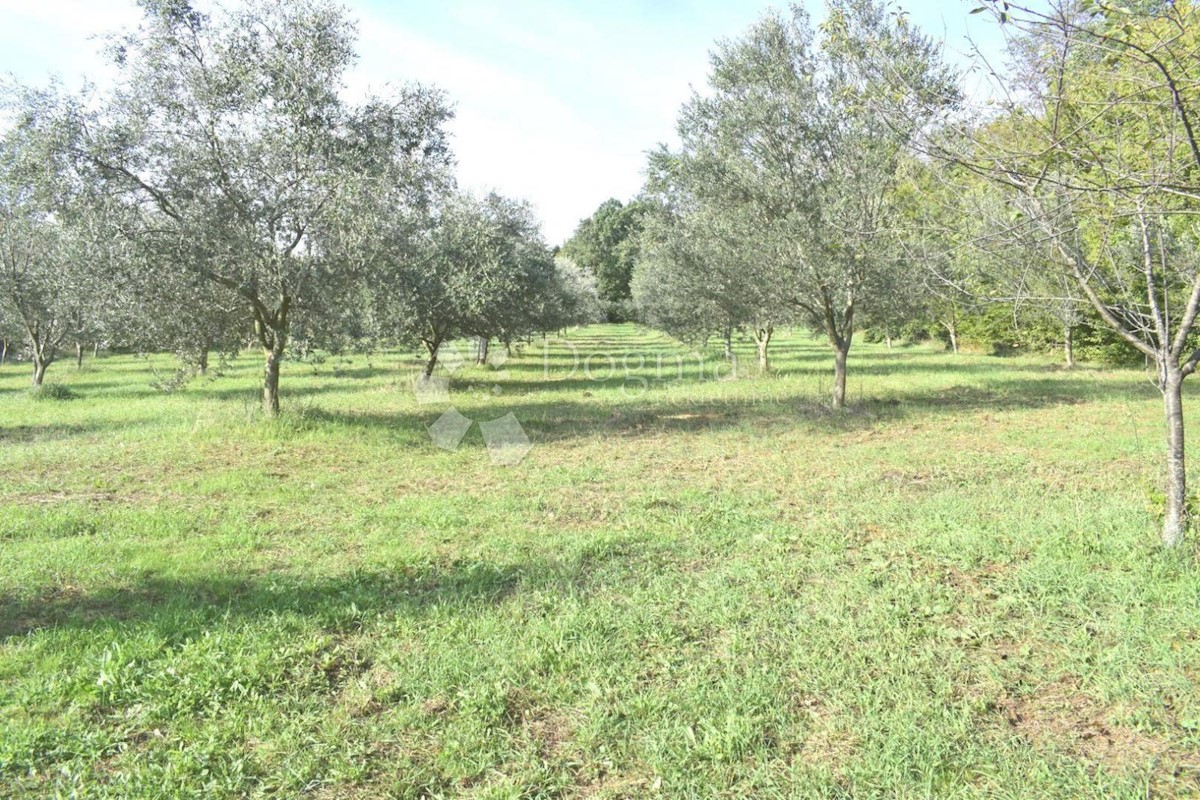 Pozemek Na prodej - ISTARSKA  BARBAN 