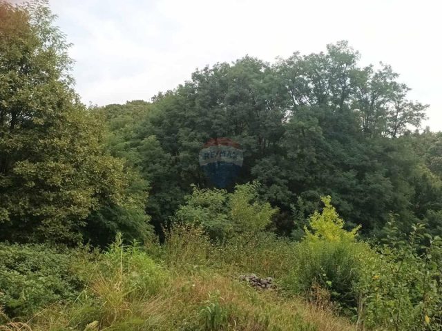 Grundstück Zu verkaufen - Karlovačka Karlovac - foto 2/3