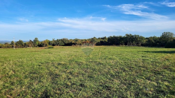 Pozemek Na prodej - Istarska Umag - foto 2/5