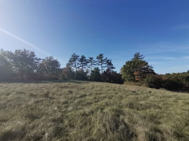 Grundstück Zu verkaufen - Istarska Grožnjan - foto 3/7