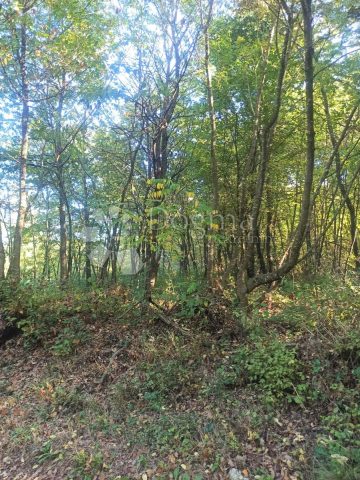 Terrain À vendre - Istarska žminj - foto 2/4