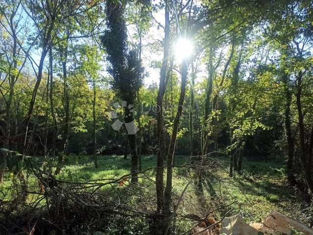 Terrain À vendre - Istarska žminj - foto 4/4