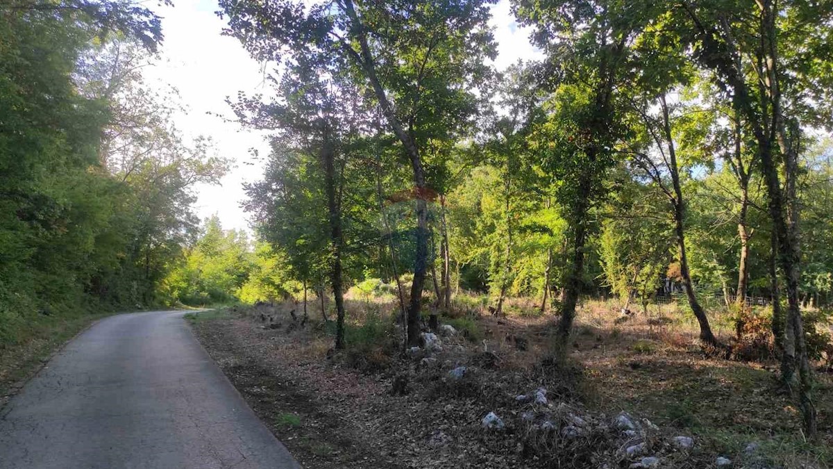 Land For sale - ISTARSKA  KAROJBA 