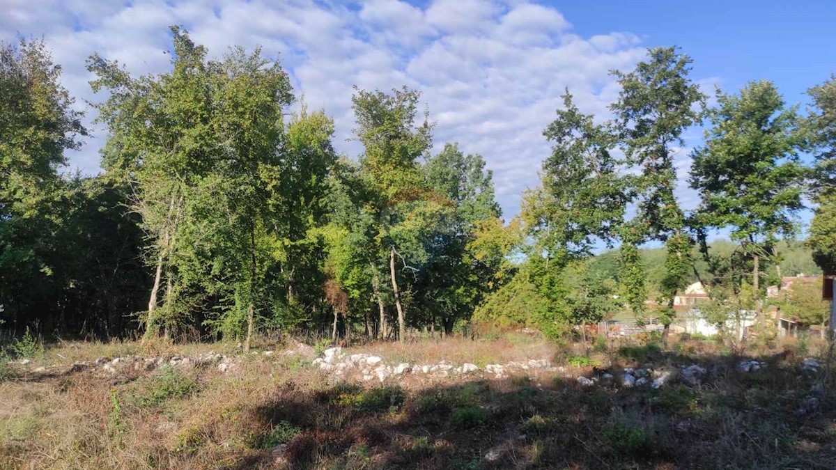 Terreno In vendita - ISTARSKA  KAROJBA 